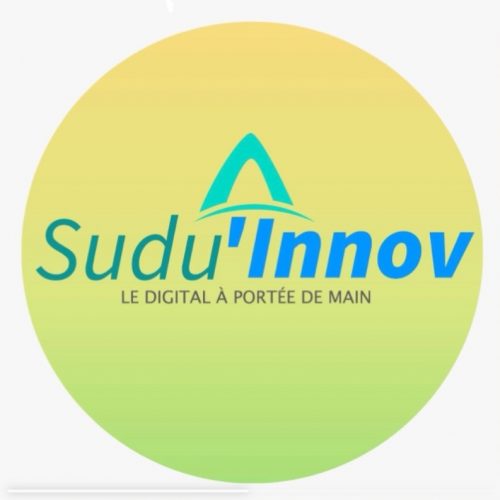« DIGITALISATION DU SERVICE PUBLIC » Abdoulaye Diallo